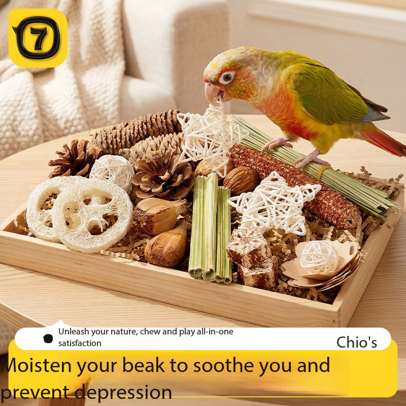 Chio's Parrot Foraging Chewing Toy Kit, All Natural Bird Beak Grinding Toys, Stress Relief Foraging Toys for Conure Parakeet Sun Parrot