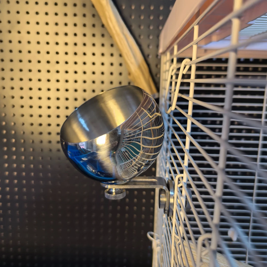 Anti-Spill Bird Feeder Bowl | Adjustable Hanging Stainless Steel Parrot Food Water Cup