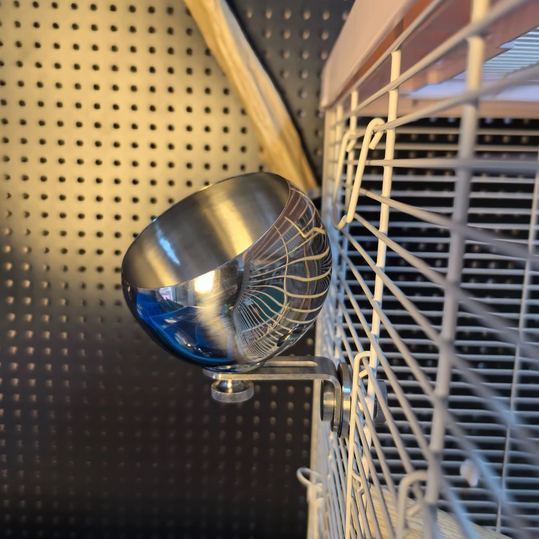 Anti-Spill Bird Feeder Bowl | Adjustable Hanging Stainless Steel Parrot Food Water Cup
