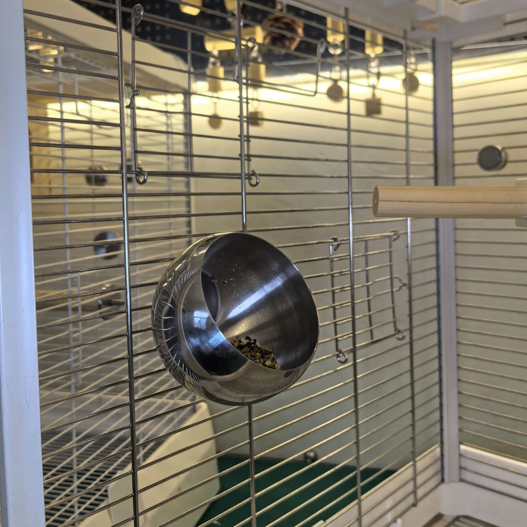 Anti-Spill Bird Feeder Bowl | Adjustable Hanging Stainless Steel Parrot Food Water Cup