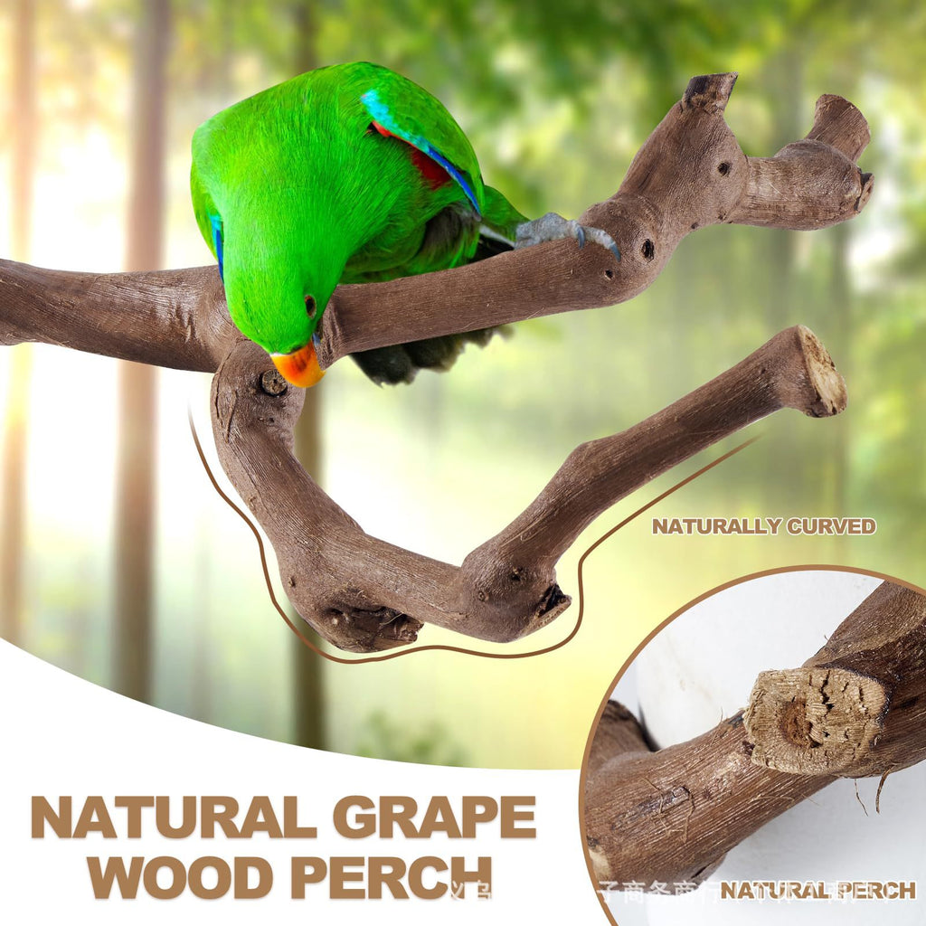 Real Tree Branch Bird Perch Stand, Bird Cage Accessory, Natural Wooden Standing Chew Toy for Parakeet, Budgie, Lovebird, Conure