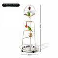 Movable Parrot Bird Stand, Freely Move Your Parrot Play Area Anywhere