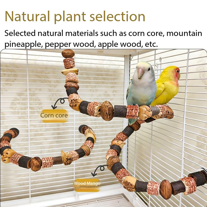 Bendable Natural Dried Fruit Parrot Perch Bird Chew Toy
