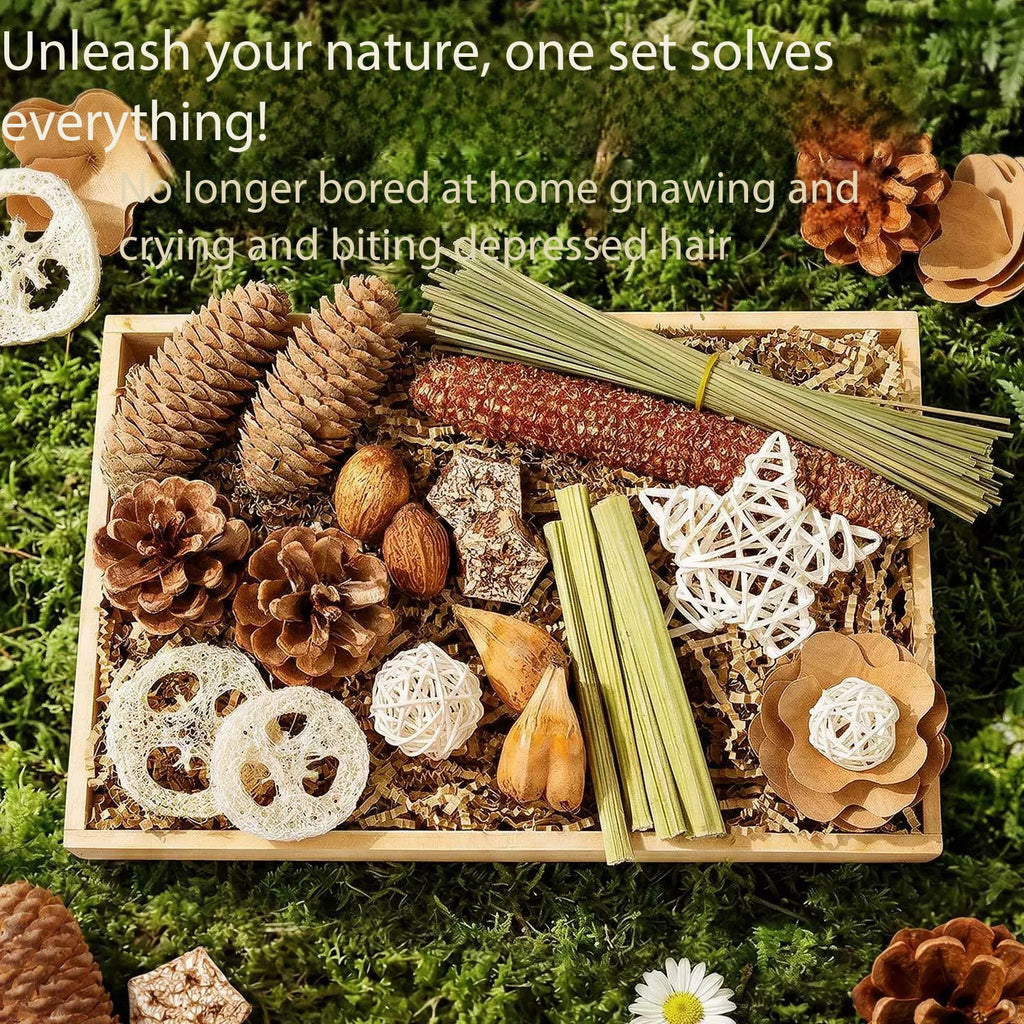 Chio's Parrot Foraging Chewing Toy Kit, All Natural Bird Beak Grinding Toys, Stress Relief Foraging Toys for Conure Parakeet Sun Parrot