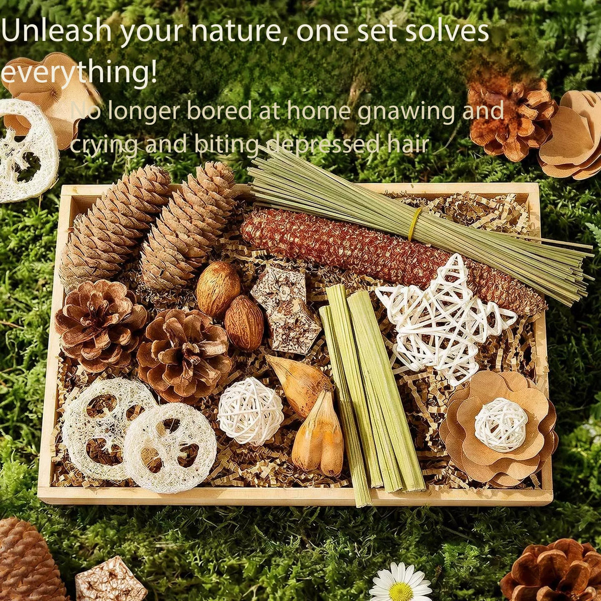 Chio's Parrot Foraging Chewing Toy Kit, All Natural Bird Beak Grinding Toys, Stress Relief Foraging Toys for Conure Parakeet Sun Parrot