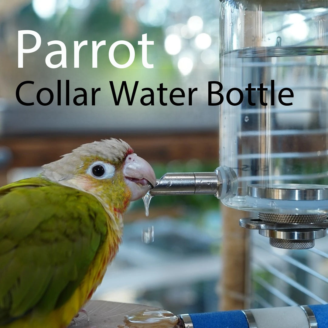 Leakproof Parrot Needle Water Bottle, Adjustable Screw Mount Glass Bird Water Dispenser, BPA Free Bird Cage Hanging Water Feeder