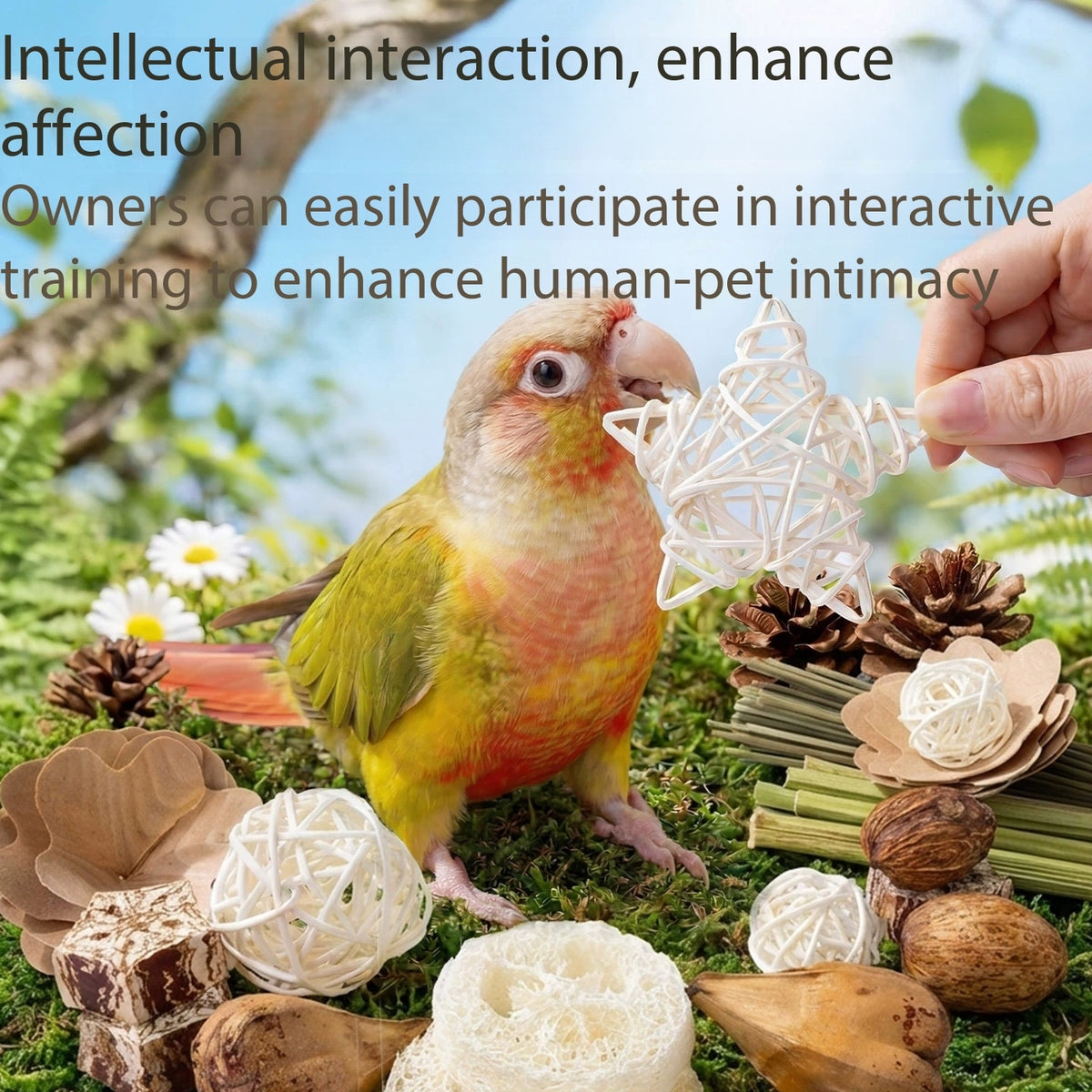 Chio's Parrot Foraging Chewing Toy Kit, All Natural Bird Beak Grinding Toys, Stress Relief Foraging Toys for Conure Parakeet Sun Parrot