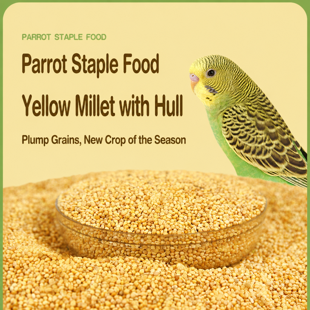 Hulled yellow millet parrot food - detail 001