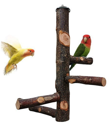 Applewood Bird Stand with Spir - detail_001.jpg