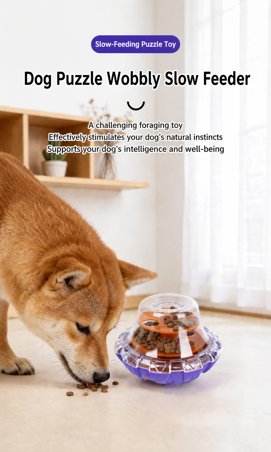 Dog Treat Dispenser Wobble Toy - detail_001.png