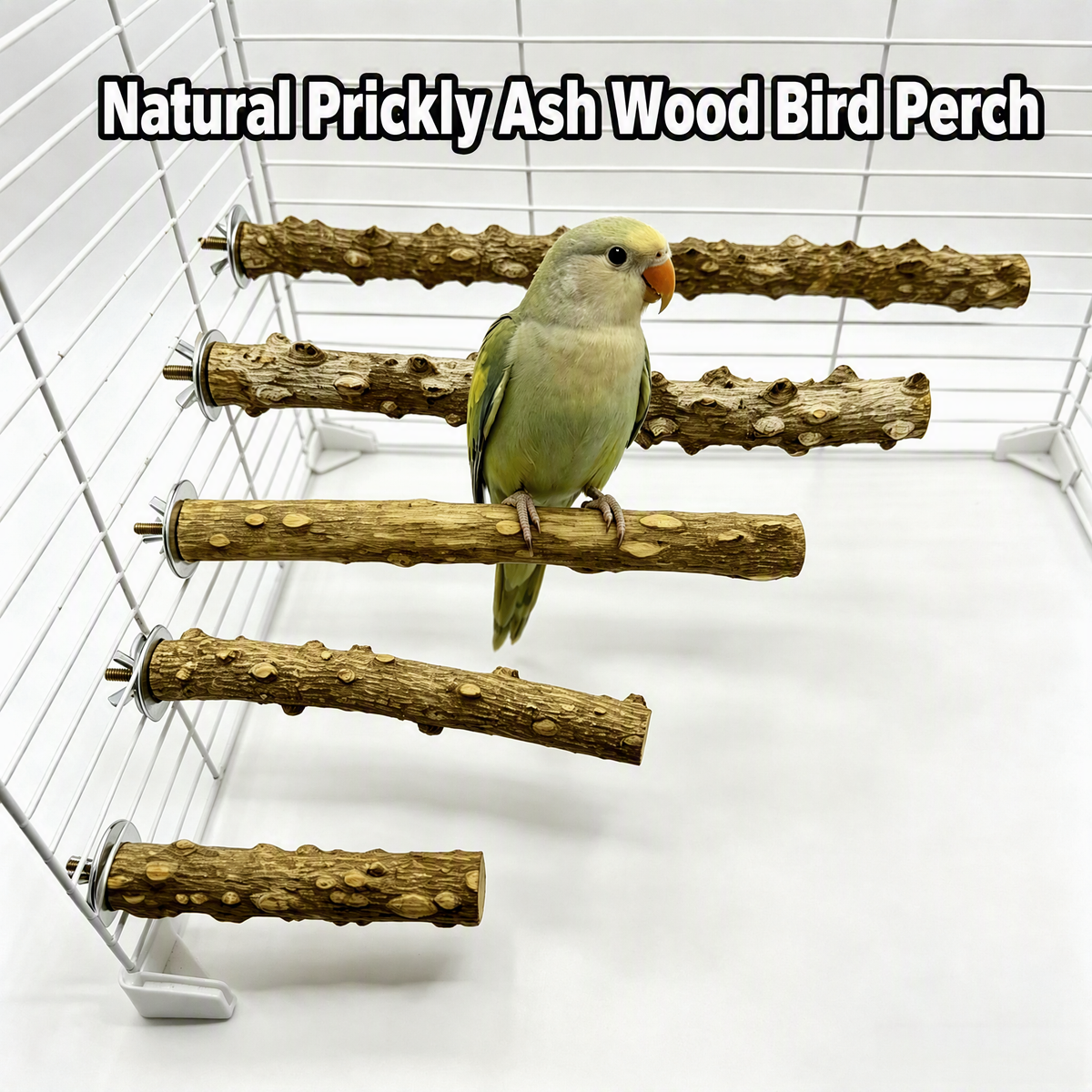Natural Prickly Ash Wood Perch - detail_001.png