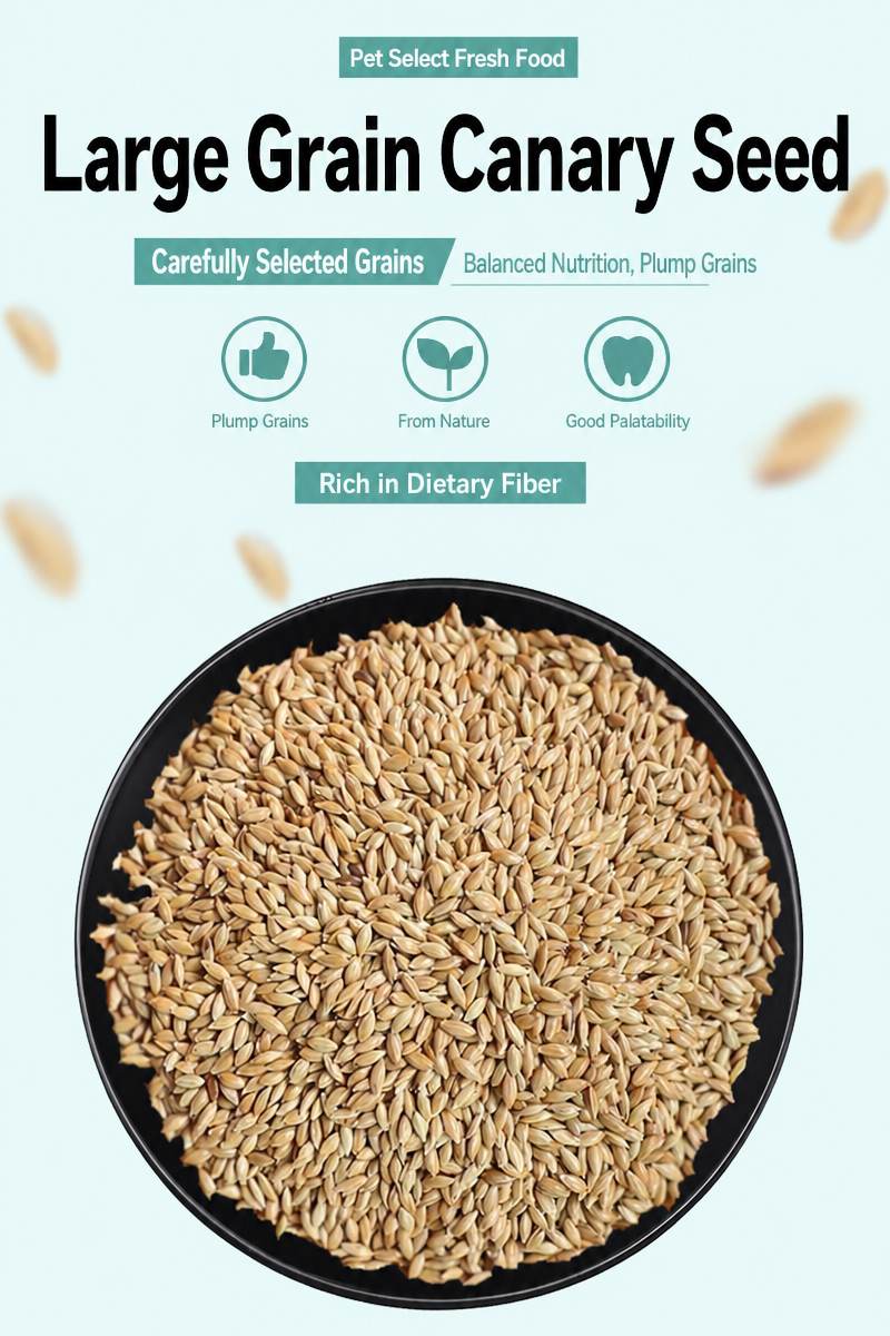 Canary Seed for Parrots &amp;  - detail_001.png