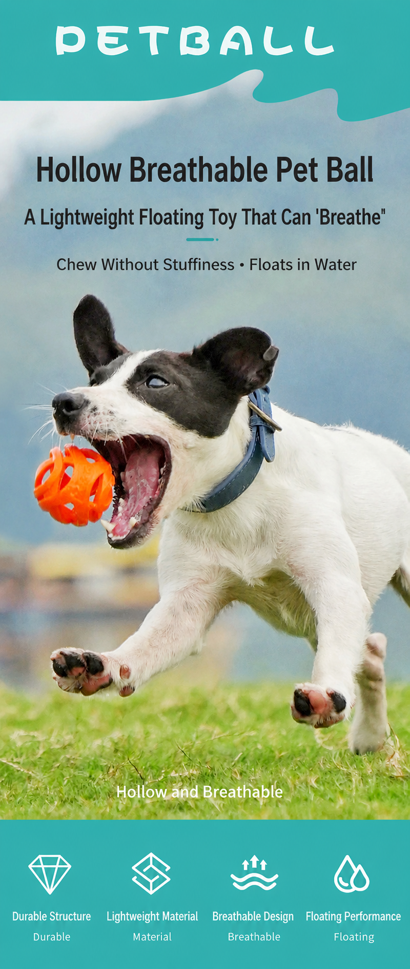 Pet Bounce Rubber Ball Toy – H - detail_001.png