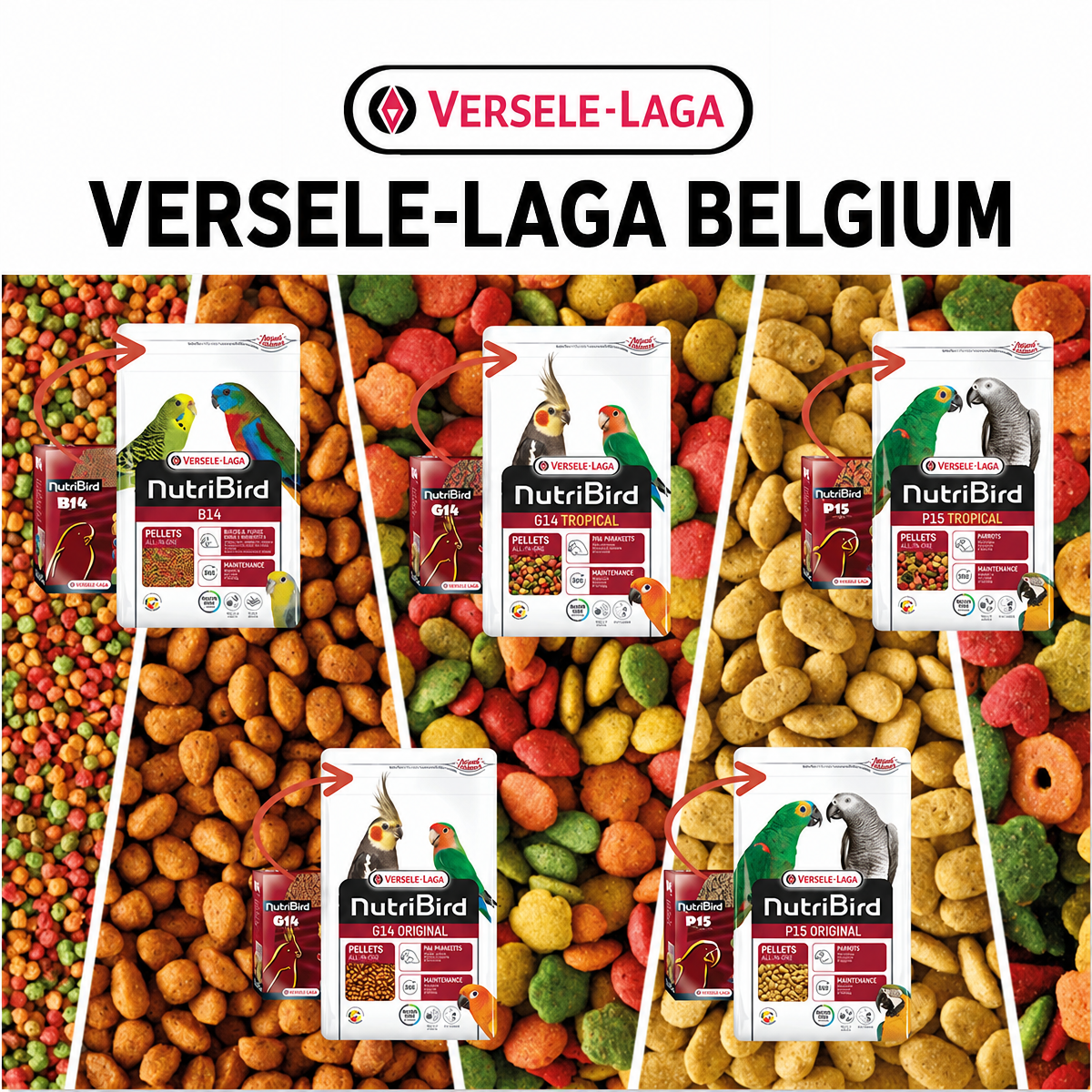 Premium Parrot Pellets – Compl - detail_001.png
