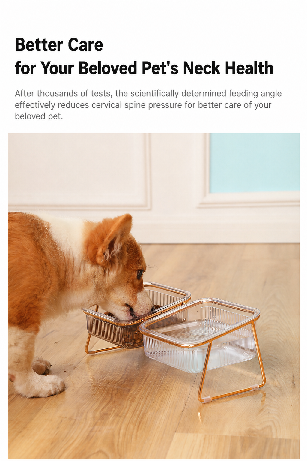 Cat & Dog Stainless Steel Feed - detail_002.png