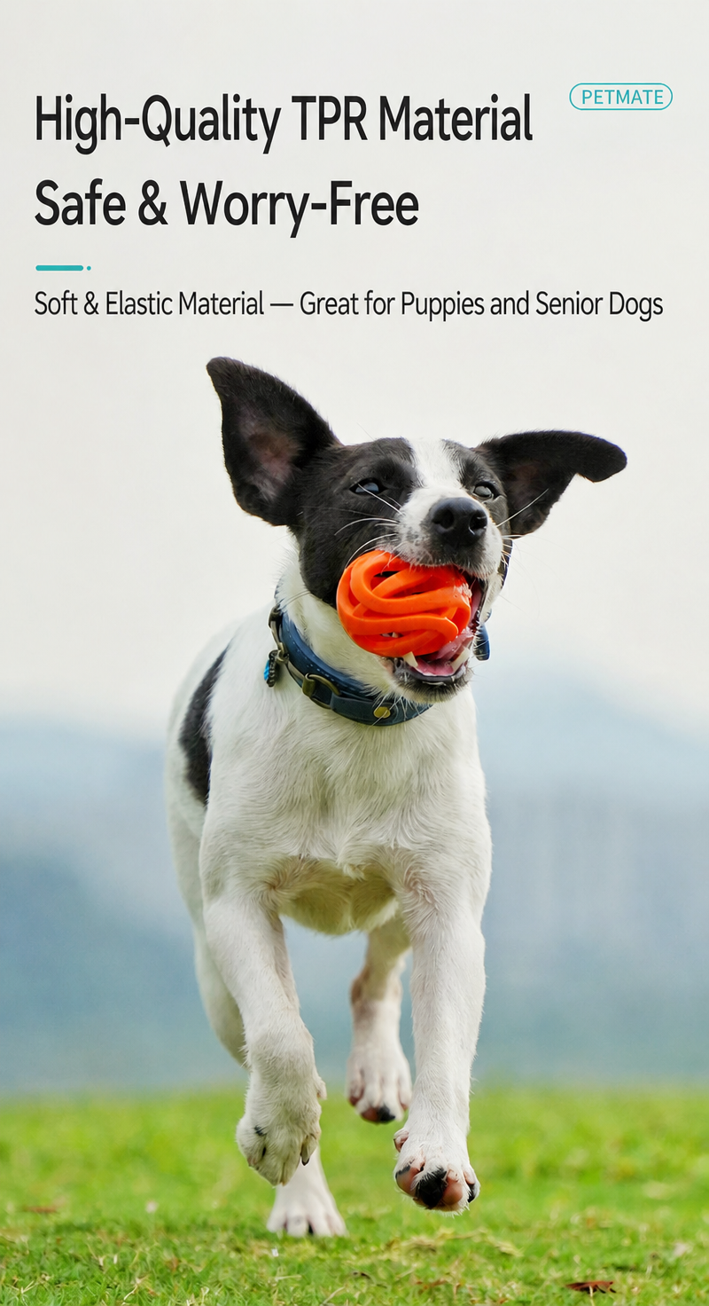 Pet Bounce Rubber Ball Toy – H - detail_002.png