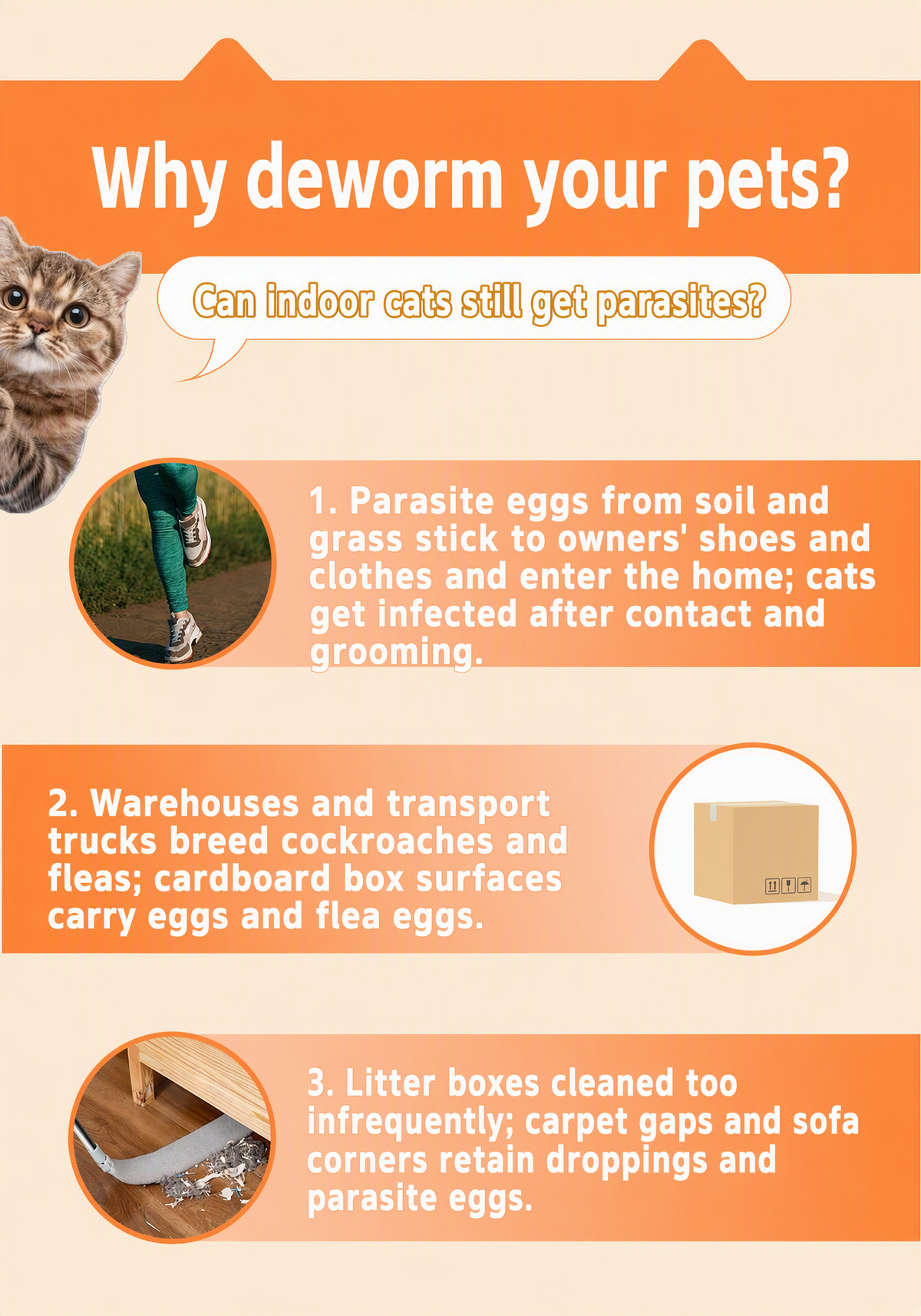 Pet Flea & Tick Spot-On Drops  - detail_002.png