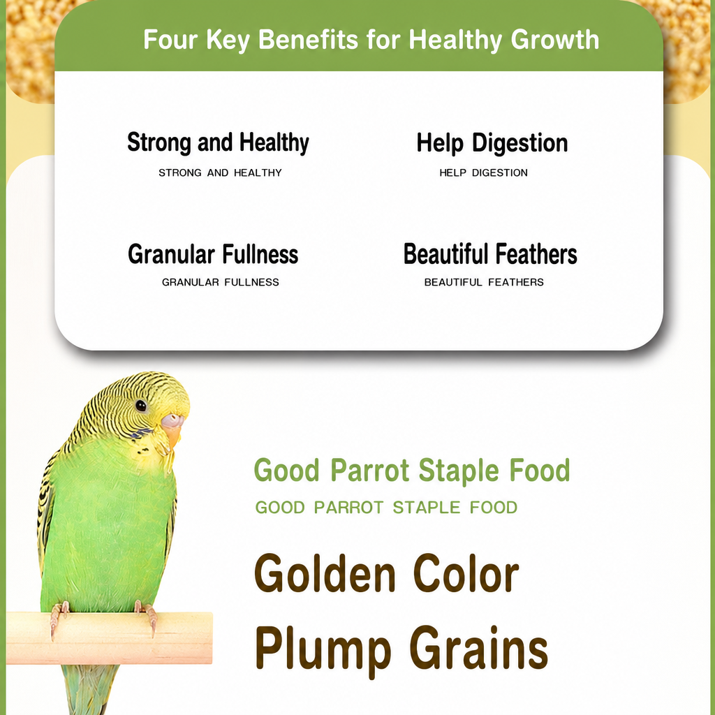 Hulled yellow millet parrot food - detail 002