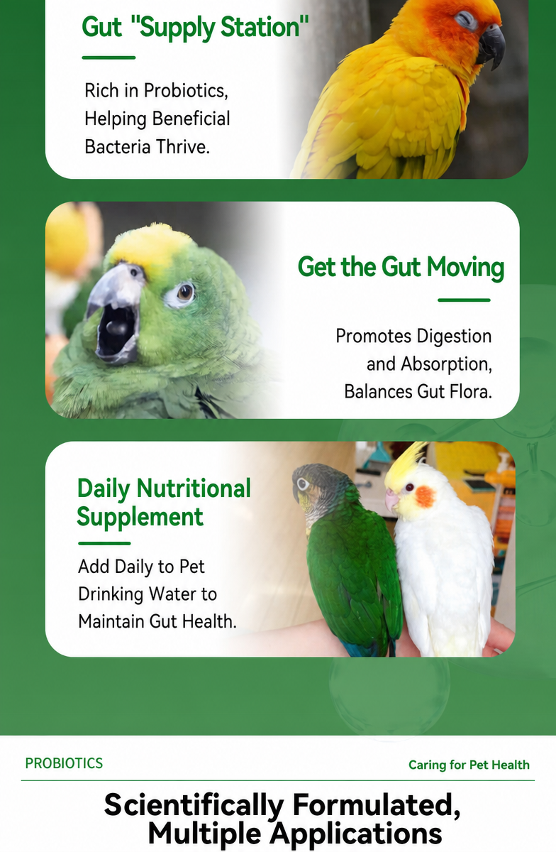 Liquid Probiotics for Parrots  - detail_003.png