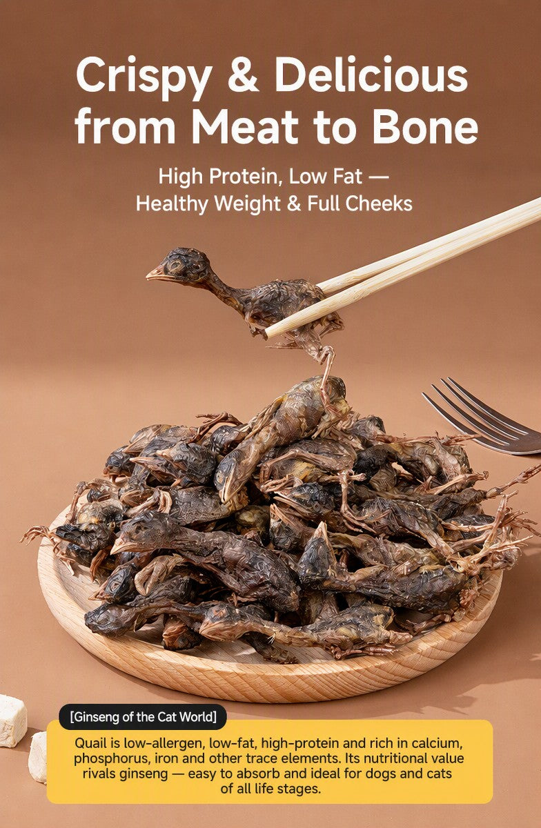 Freeze-Dried Quail Treats – Hi - detail_003.png