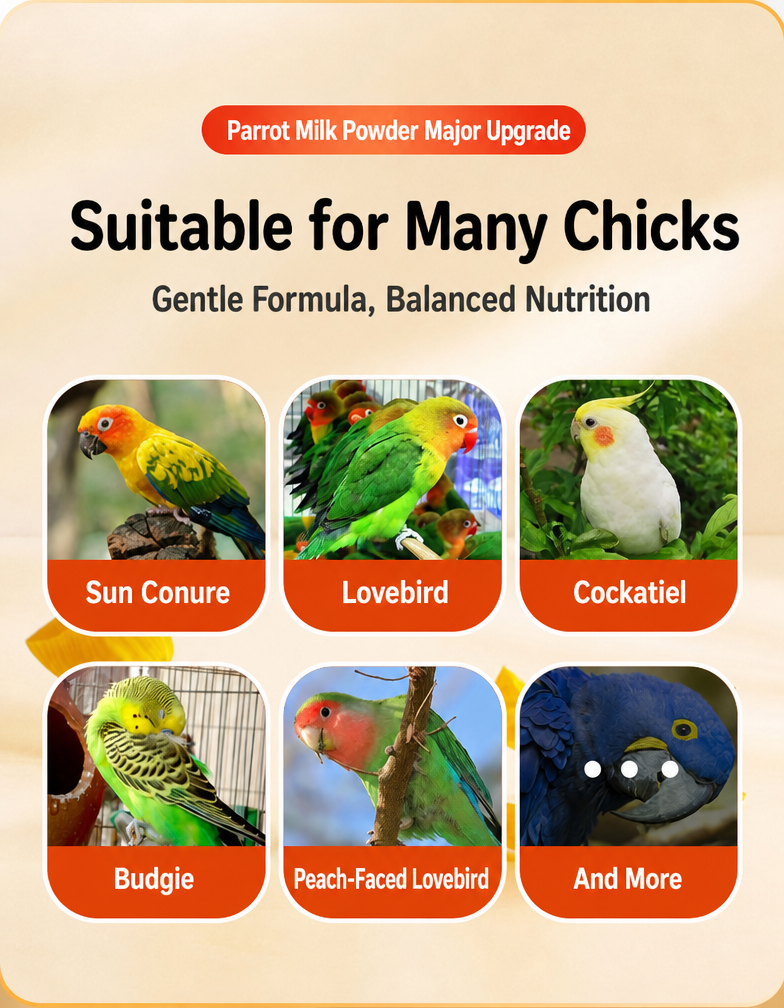 Hand-Feeding Formula for Baby  - detail_003.png