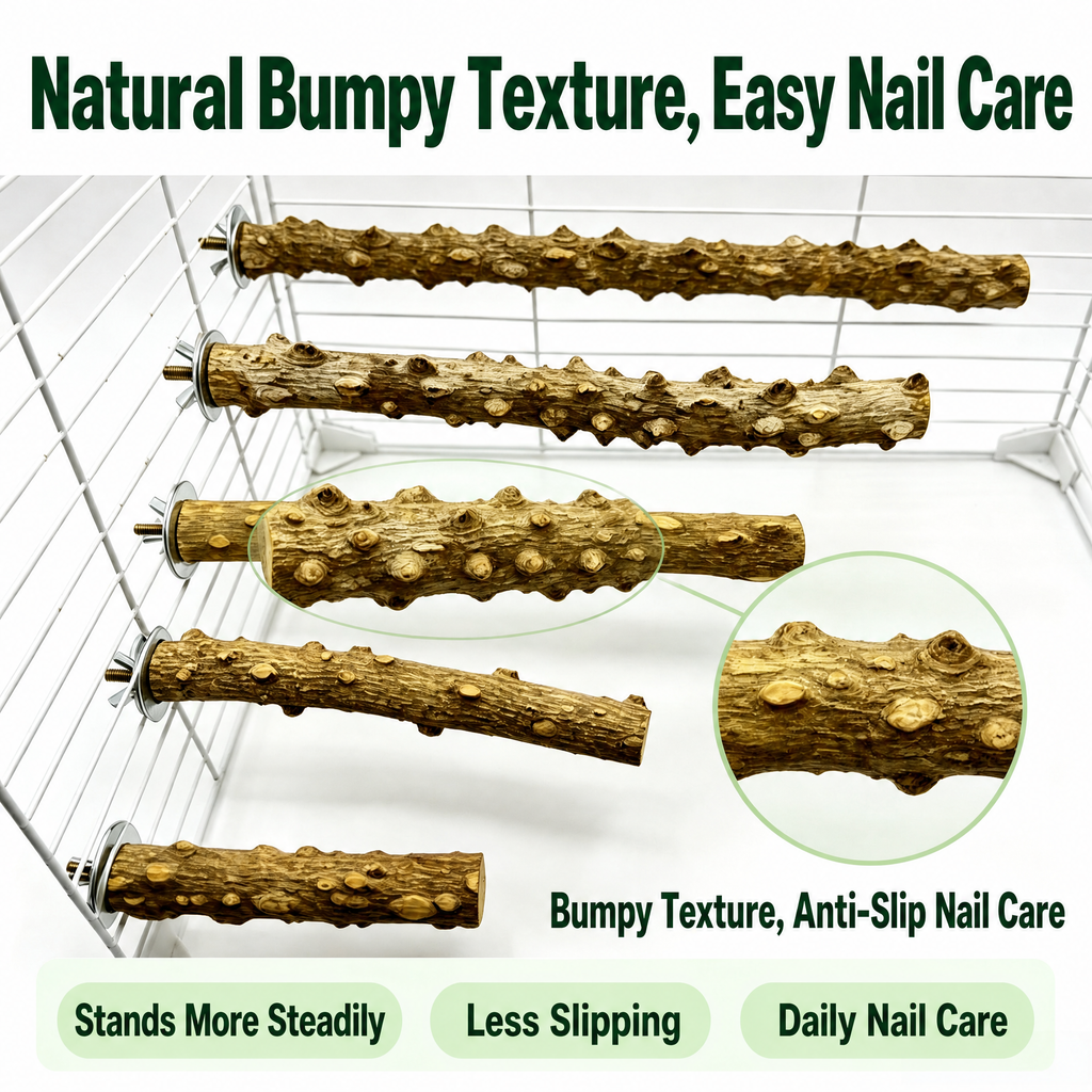 Natural Prickly Ash Wood Perch - detail_003.png