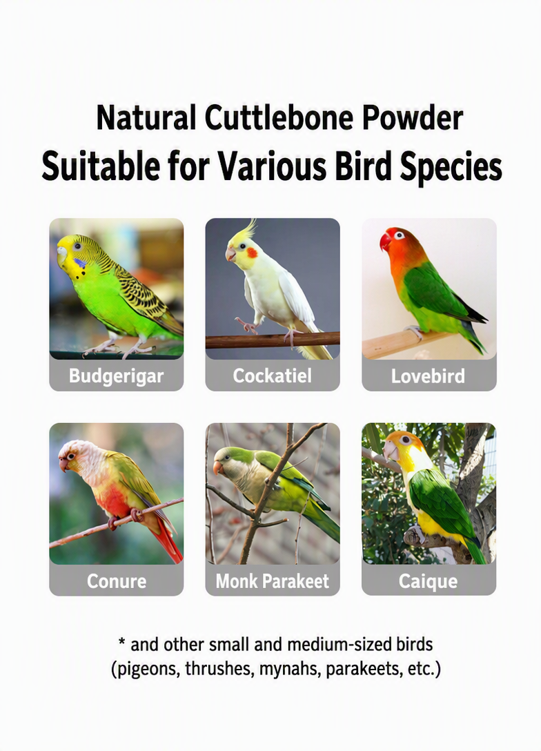 Cuttlebone Powder for Parrots  - detail_003.png