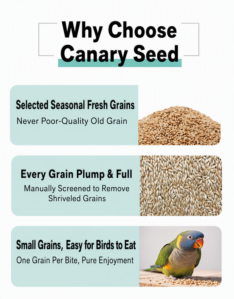 Canary Seed for Parrots &amp;  - detail_003.png