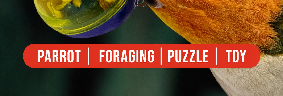 Parrot Foraging Tumbler Ball – - detail_003.png