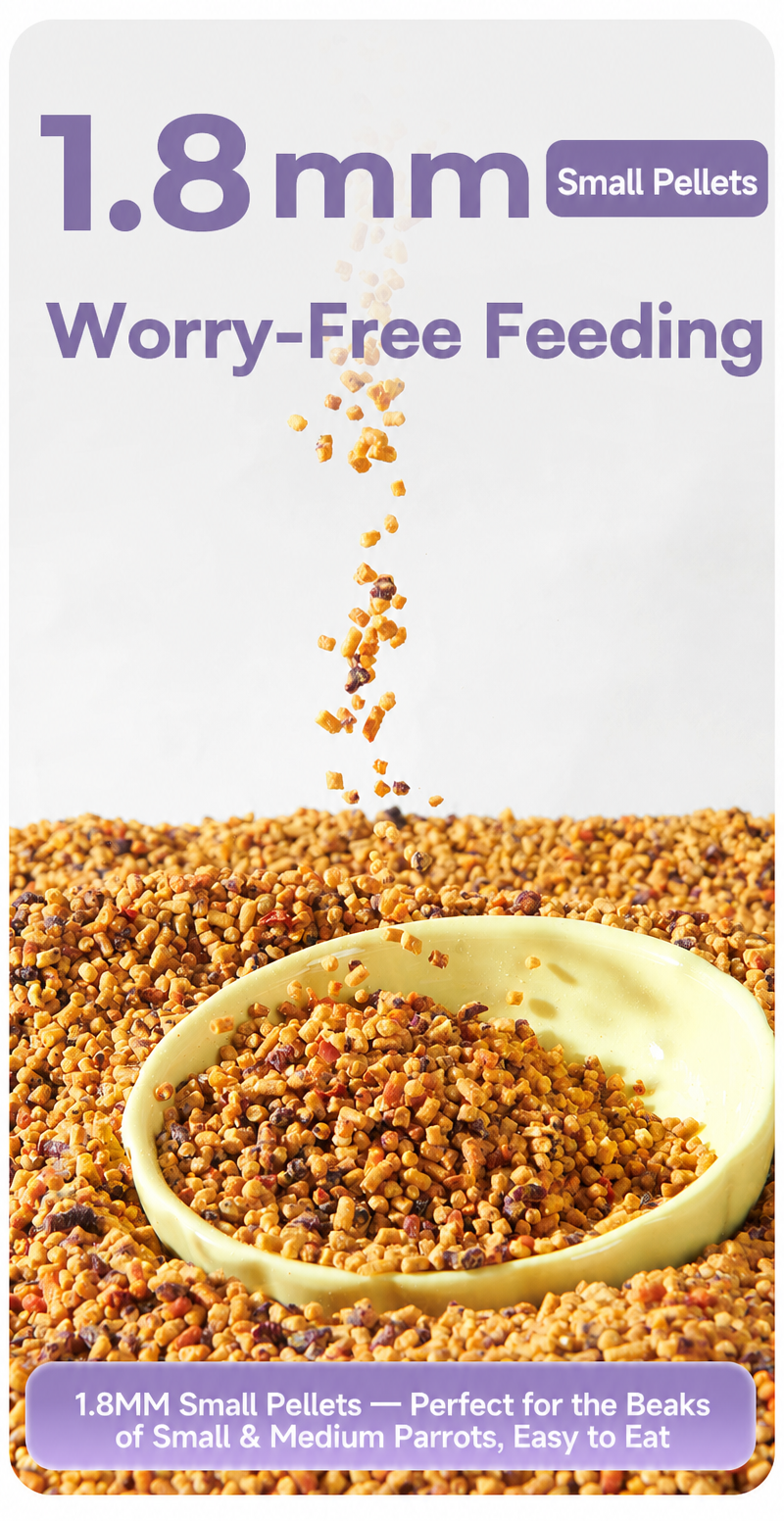 Fruit &amp; Vegetable Nourishi - detail_003.png