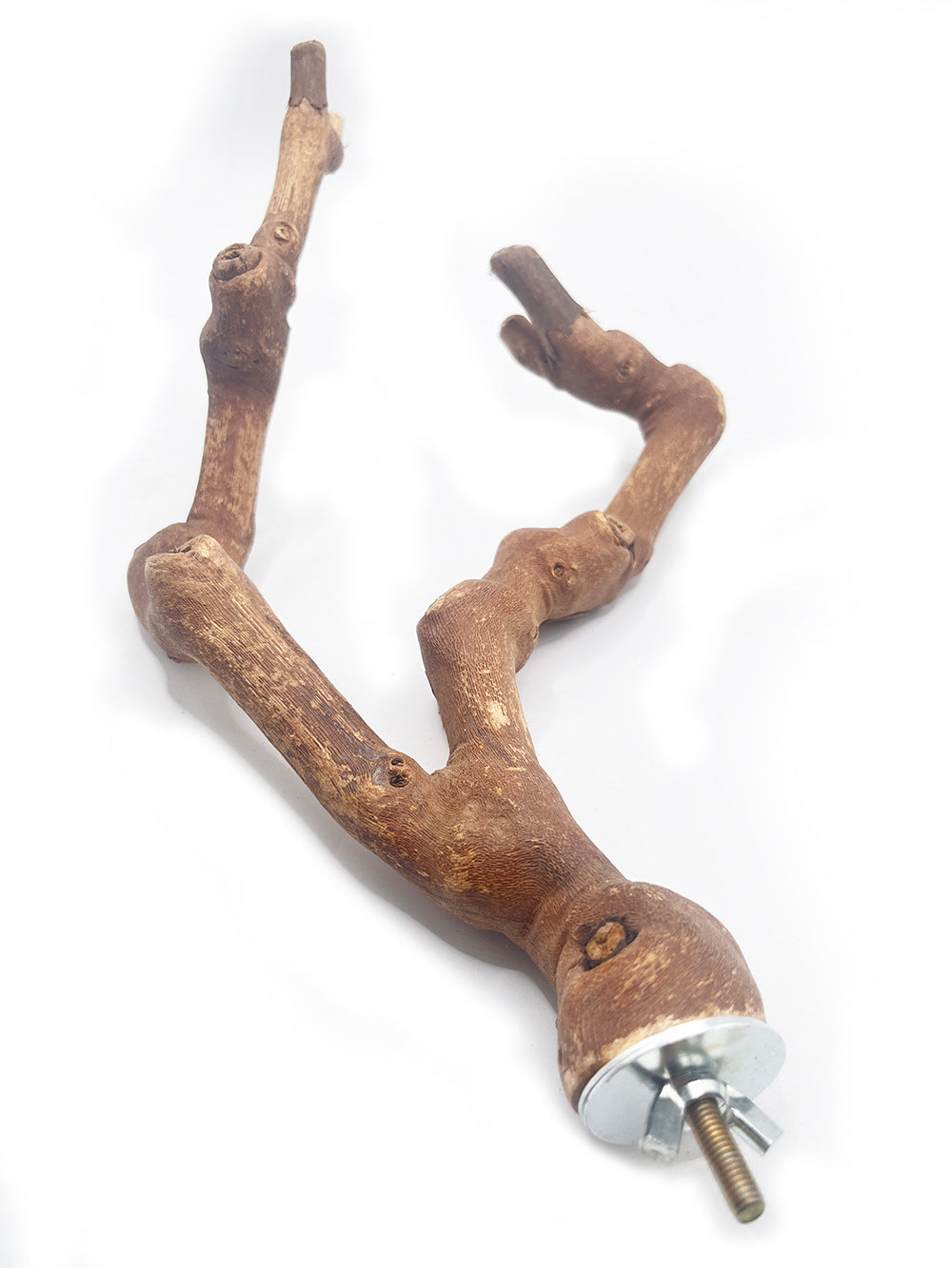 Natural Double-Branch Grapewoo - detail_003.jpg
