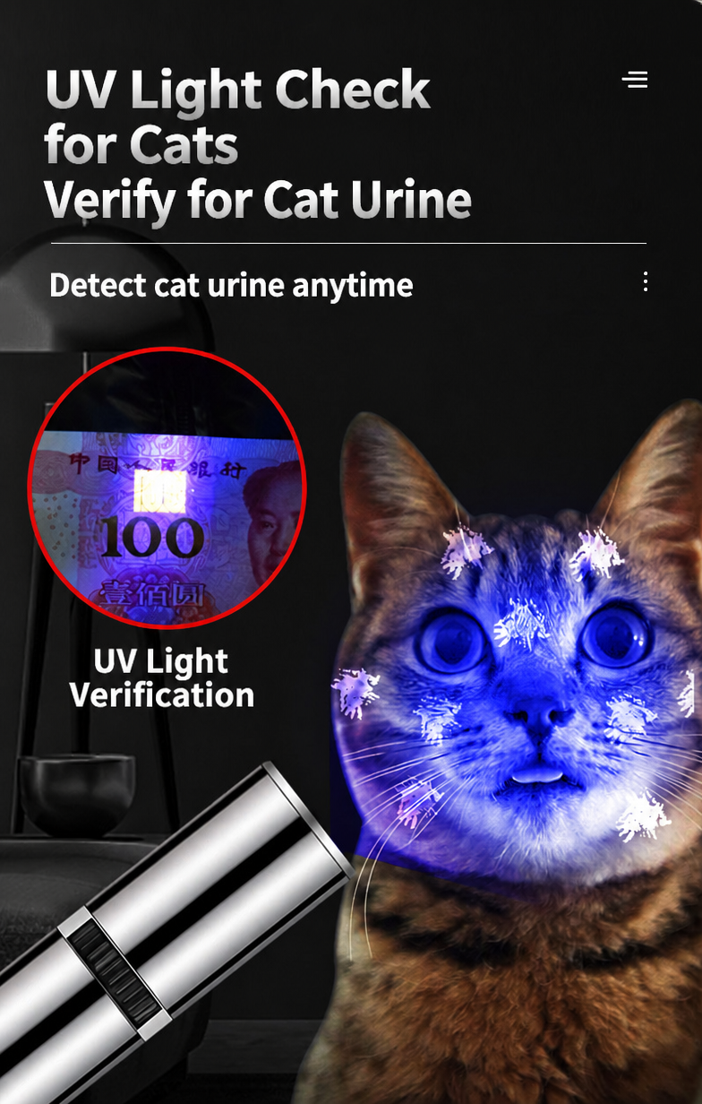 Rechargeable Laser Cat Wand Pe - detail_003.png