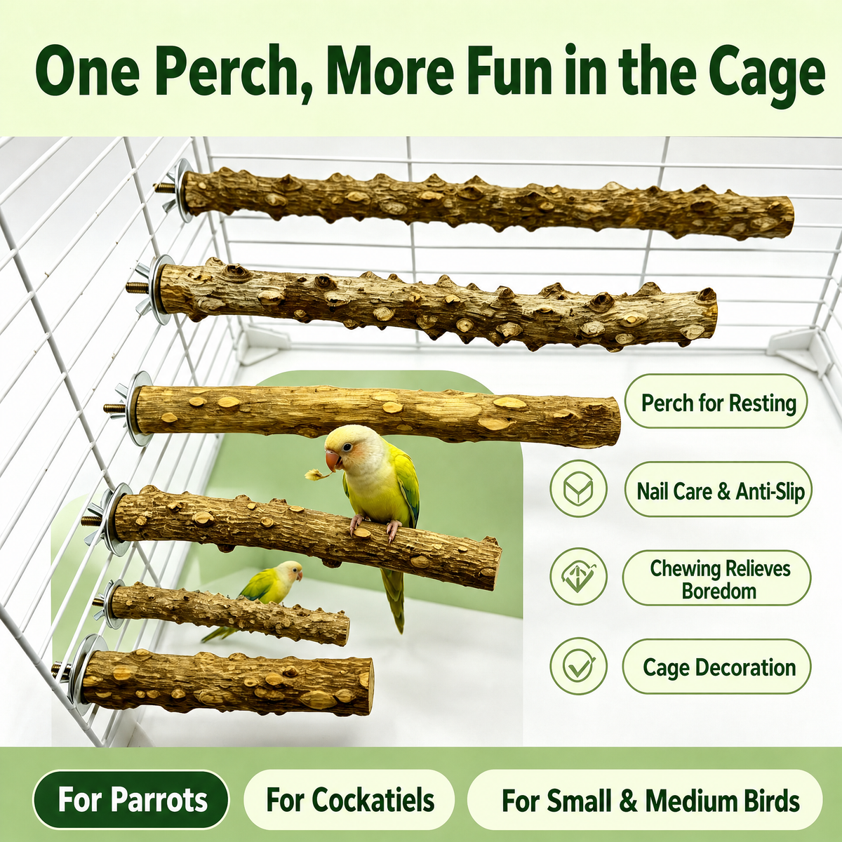 Natural Prickly Ash Wood Perch - detail_004.png