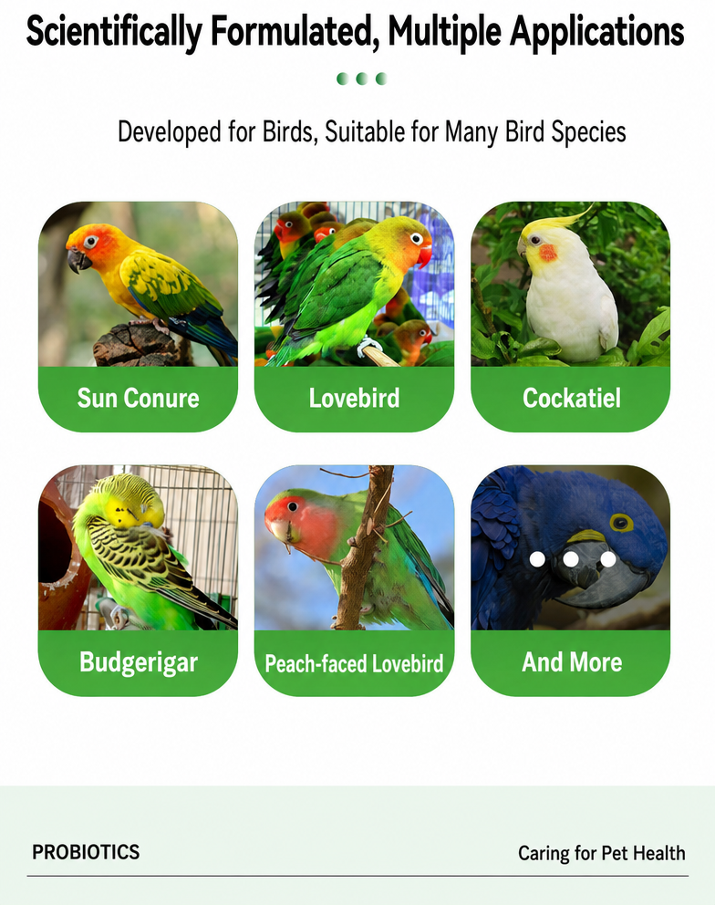 Liquid Probiotics for Parrots  - detail_004.png