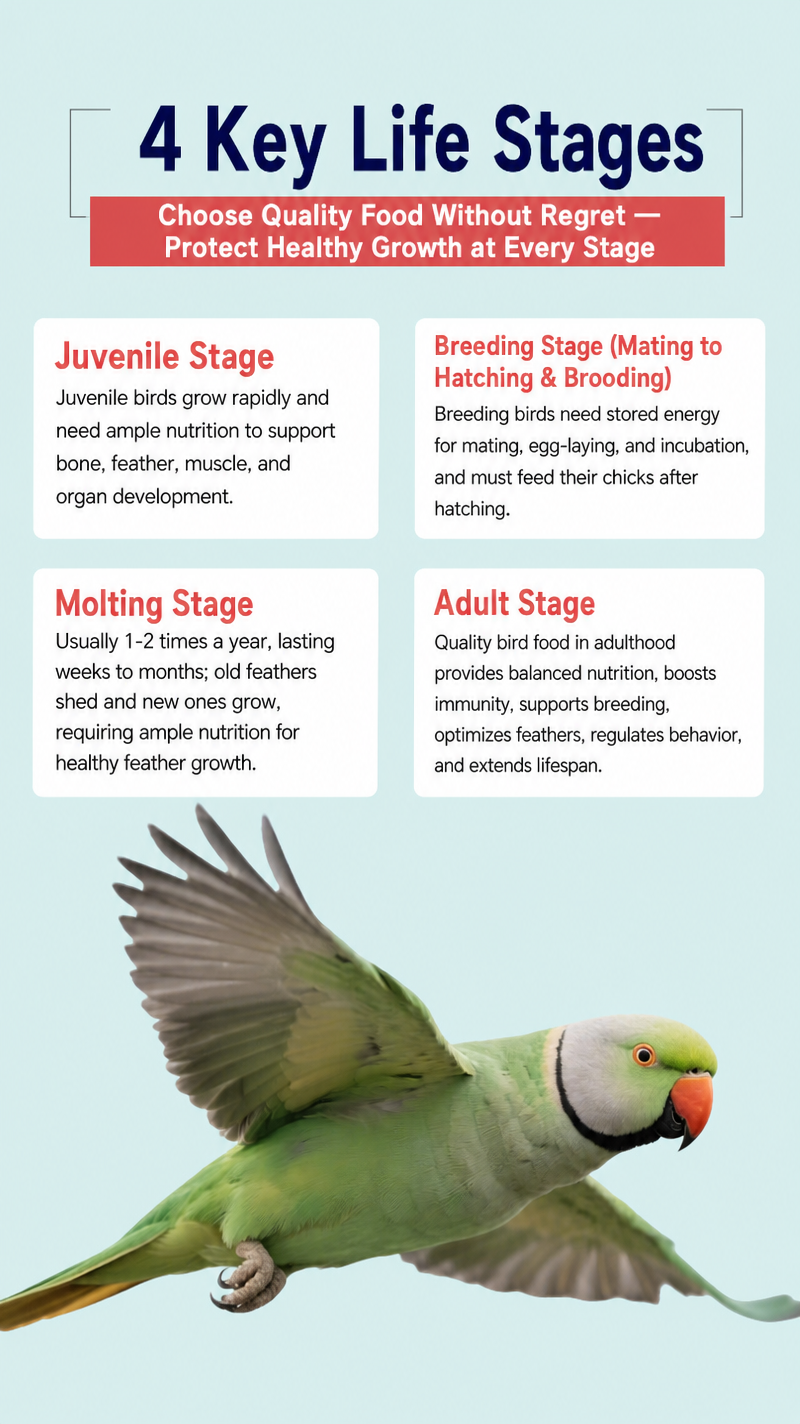 Canary Seed for Parrots &amp;  - detail_004.png
