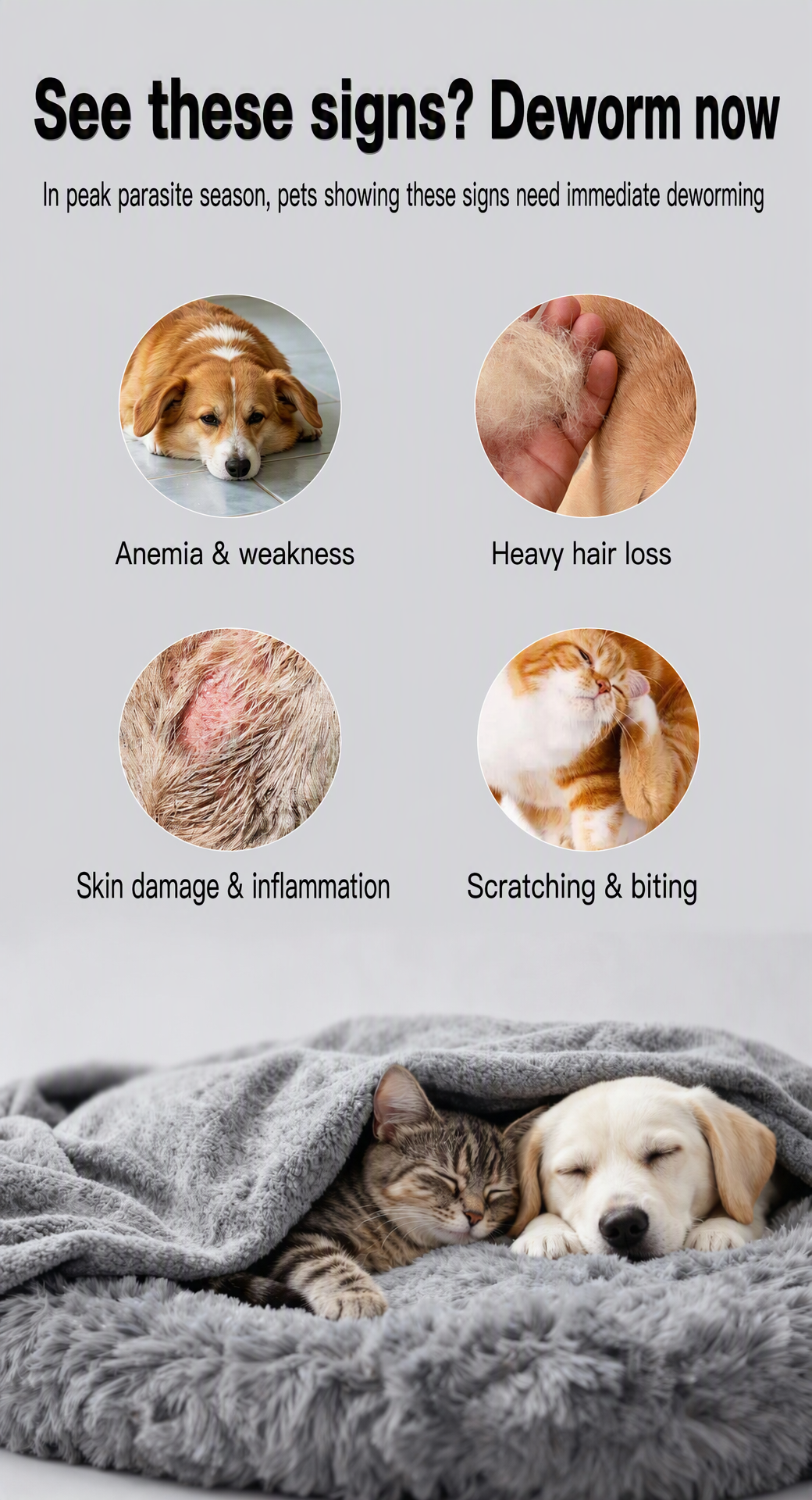 Pet Flea & Tick Spot-On Drops  - detail_004.png