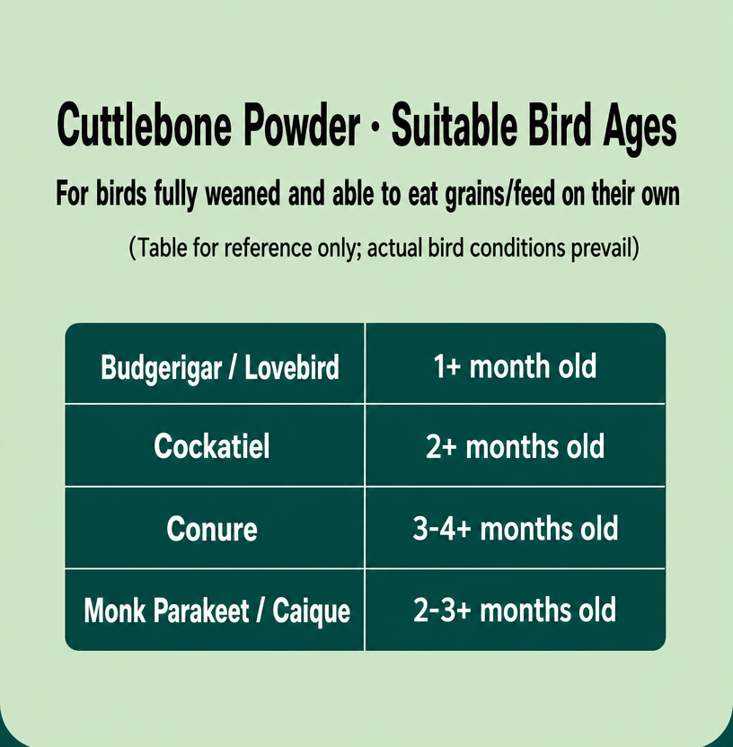 Cuttlebone Powder for Parrots  - detail_004.png
