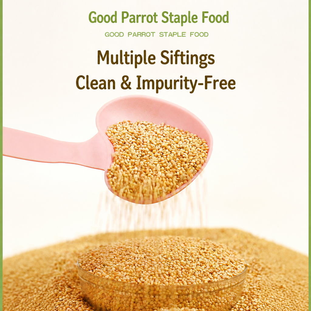 Hulled yellow millet parrot food - detail 004