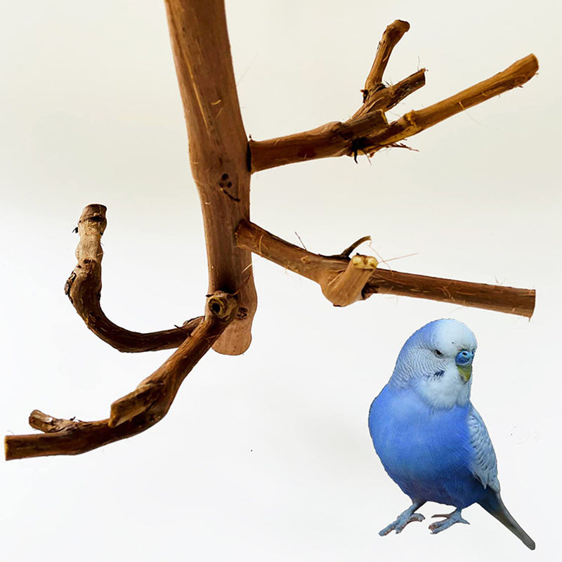 Grapewood Parrot Perch &amp; S - detail_004.jpg