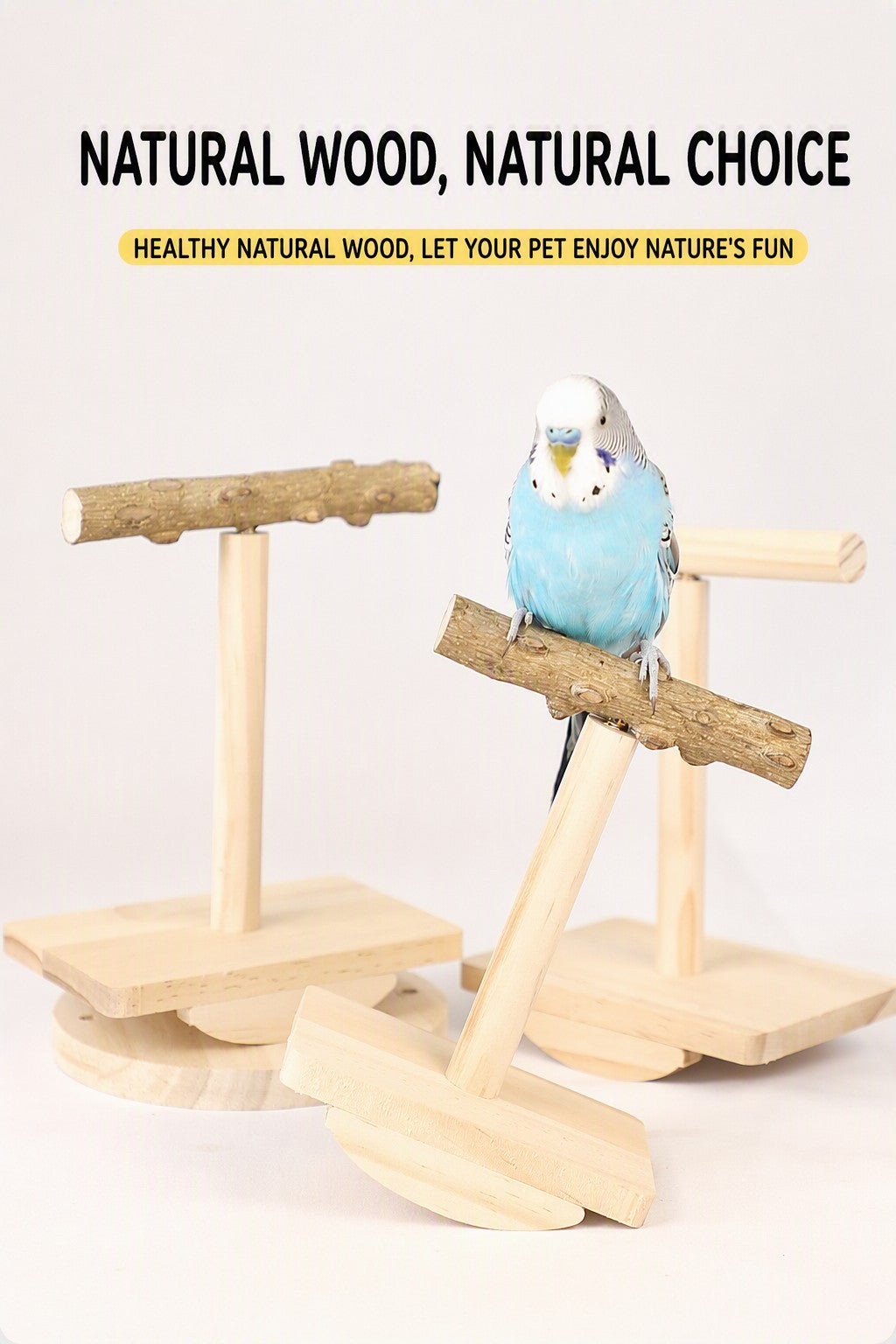 Prickly Ash Wood Parrot Rocker - detail_004.jpg
