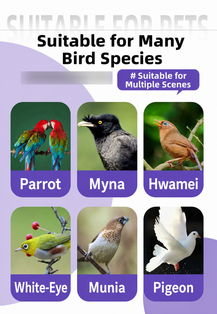 Probiotics for Birds – Gut Hea - detail_004.png