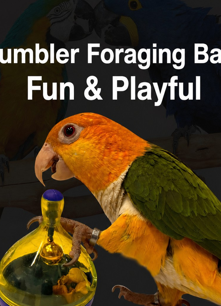 Parrot Foraging Tumbler Ball – - detail_004.png