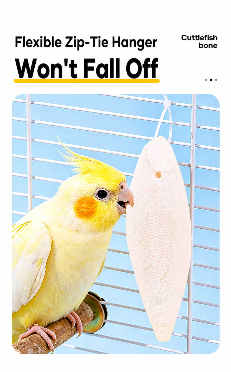 High-Calcium Cuttlebone Chew S - detail_004.png