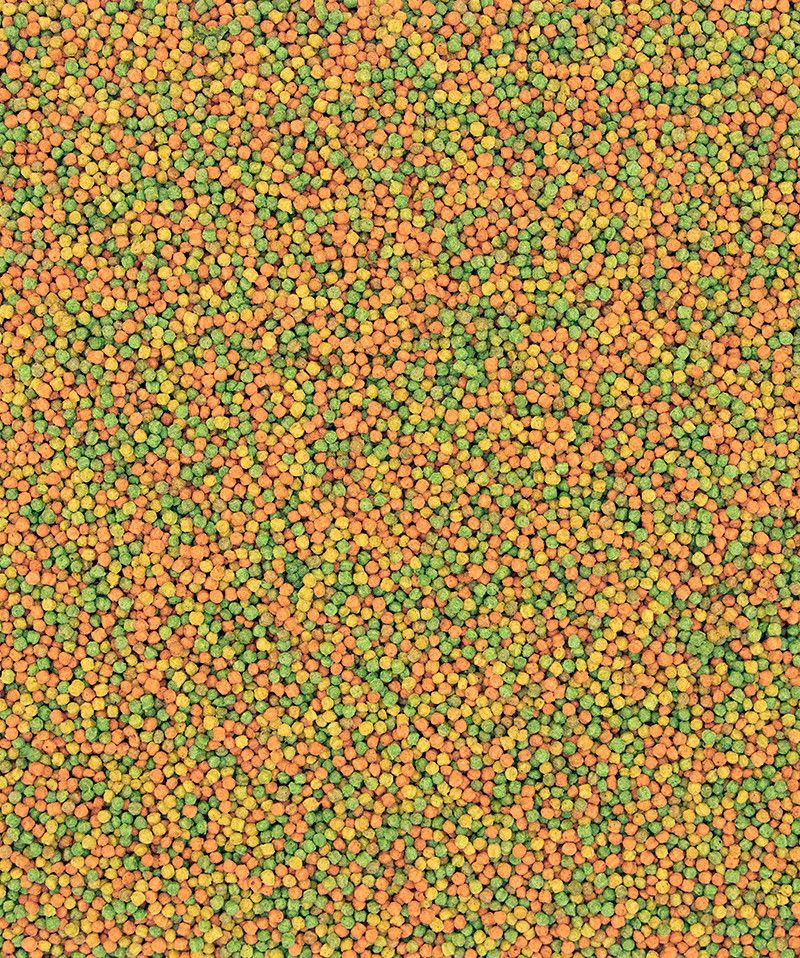 Premium Parrot Pellets – Compl - detail_005.jpg