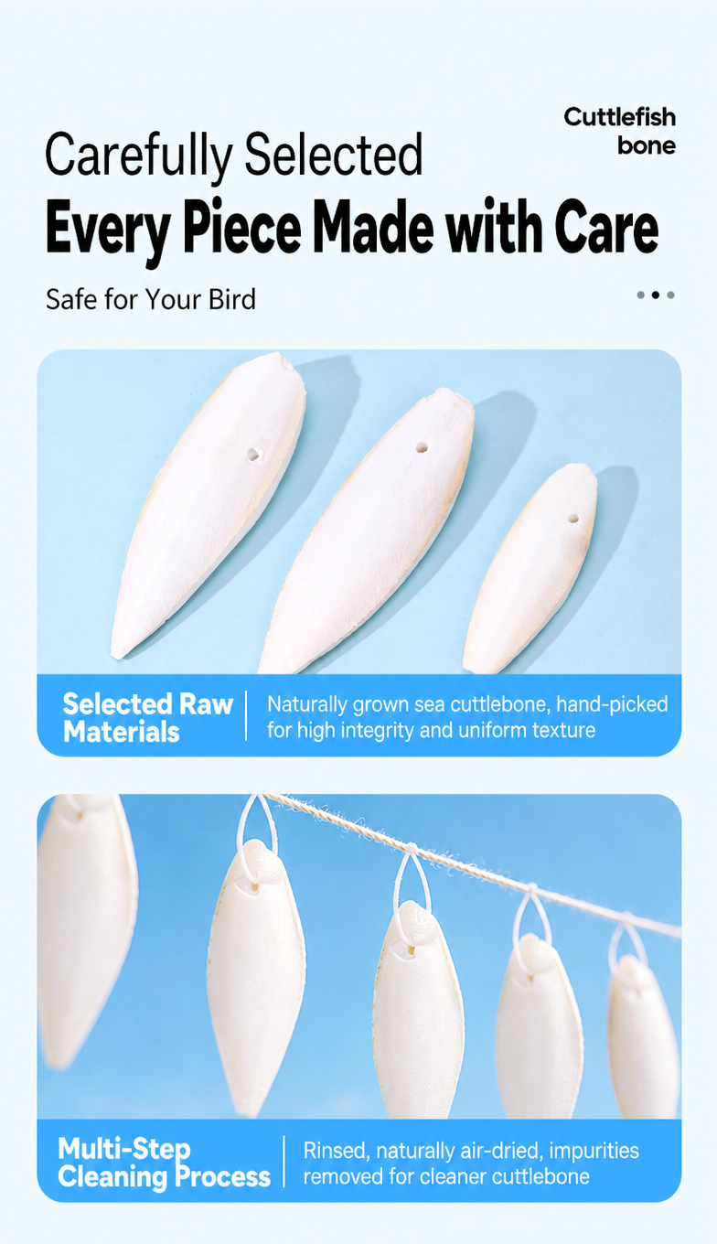 High-Calcium Cuttlebone Chew S - detail_005.png
