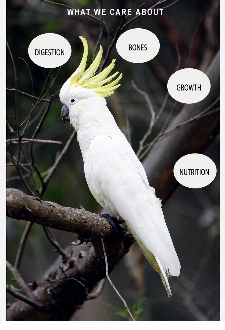 Bird Grit &amp; Mineral Supple - detail_005.png