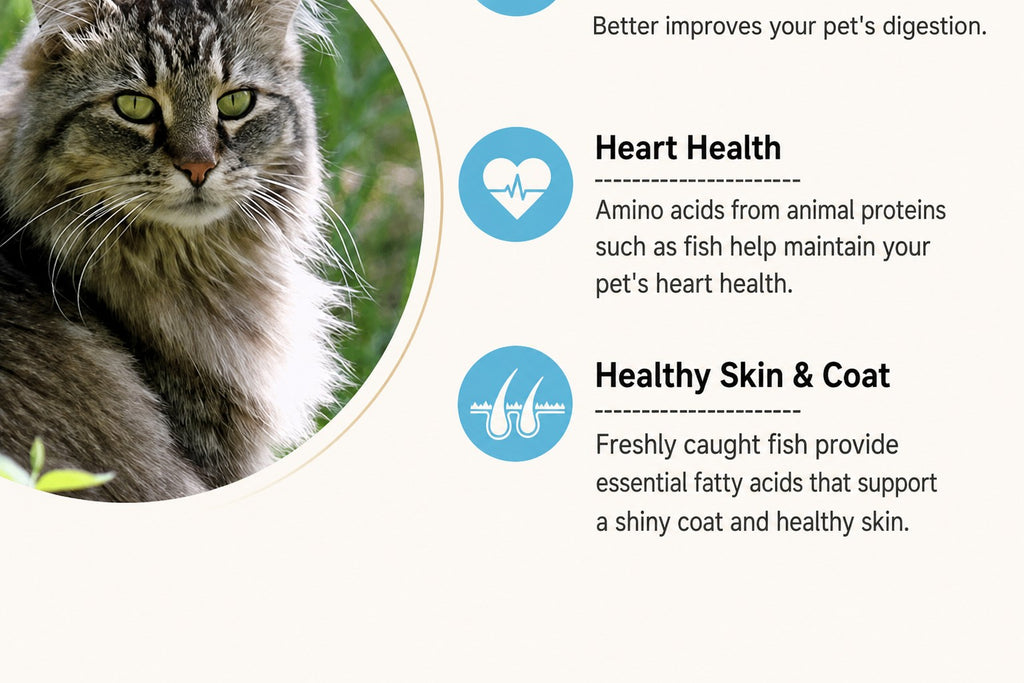 Biologically Appropriate Grain - detail_005.png