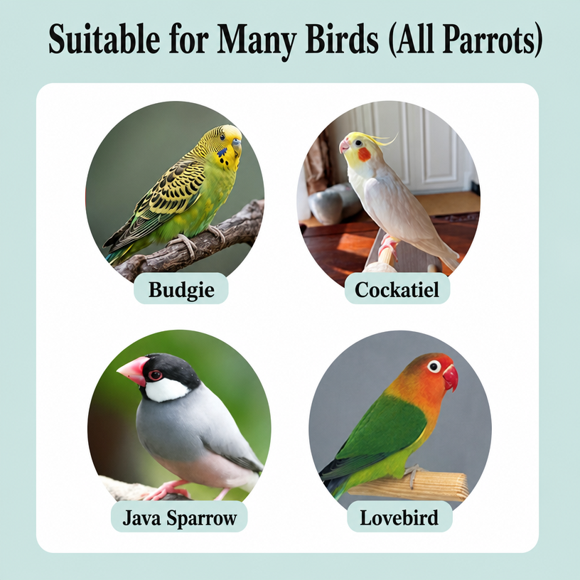 Canary Seed for Parrots &amp;  - detail_005.png