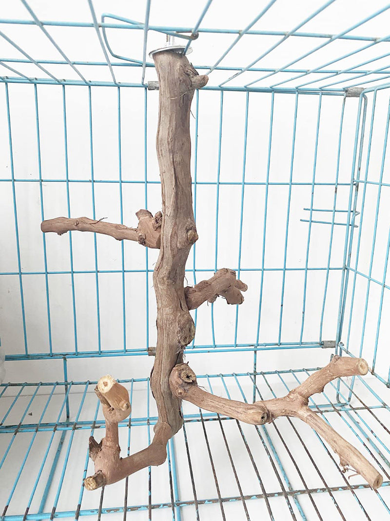 Grapewood Parrot Perch &amp; S - detail_005.jpg