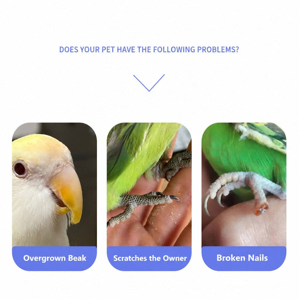 Ice Cream Bar Parrot Nail-Trim - detail_005.png